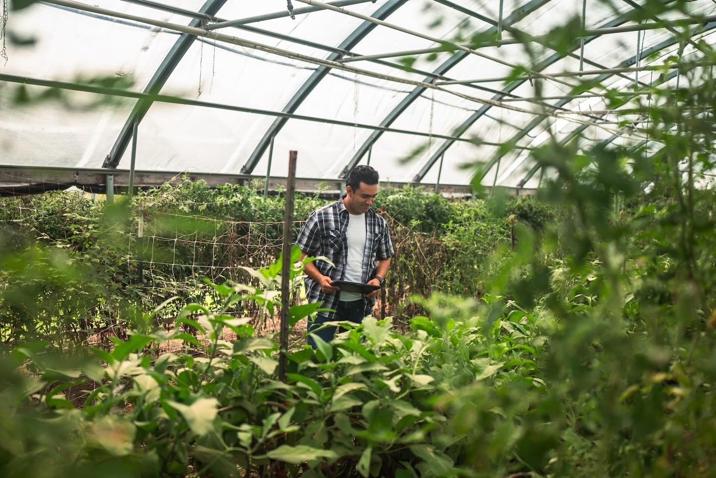 Cuidando do meio ambiente enquanto cultivamos qualidade