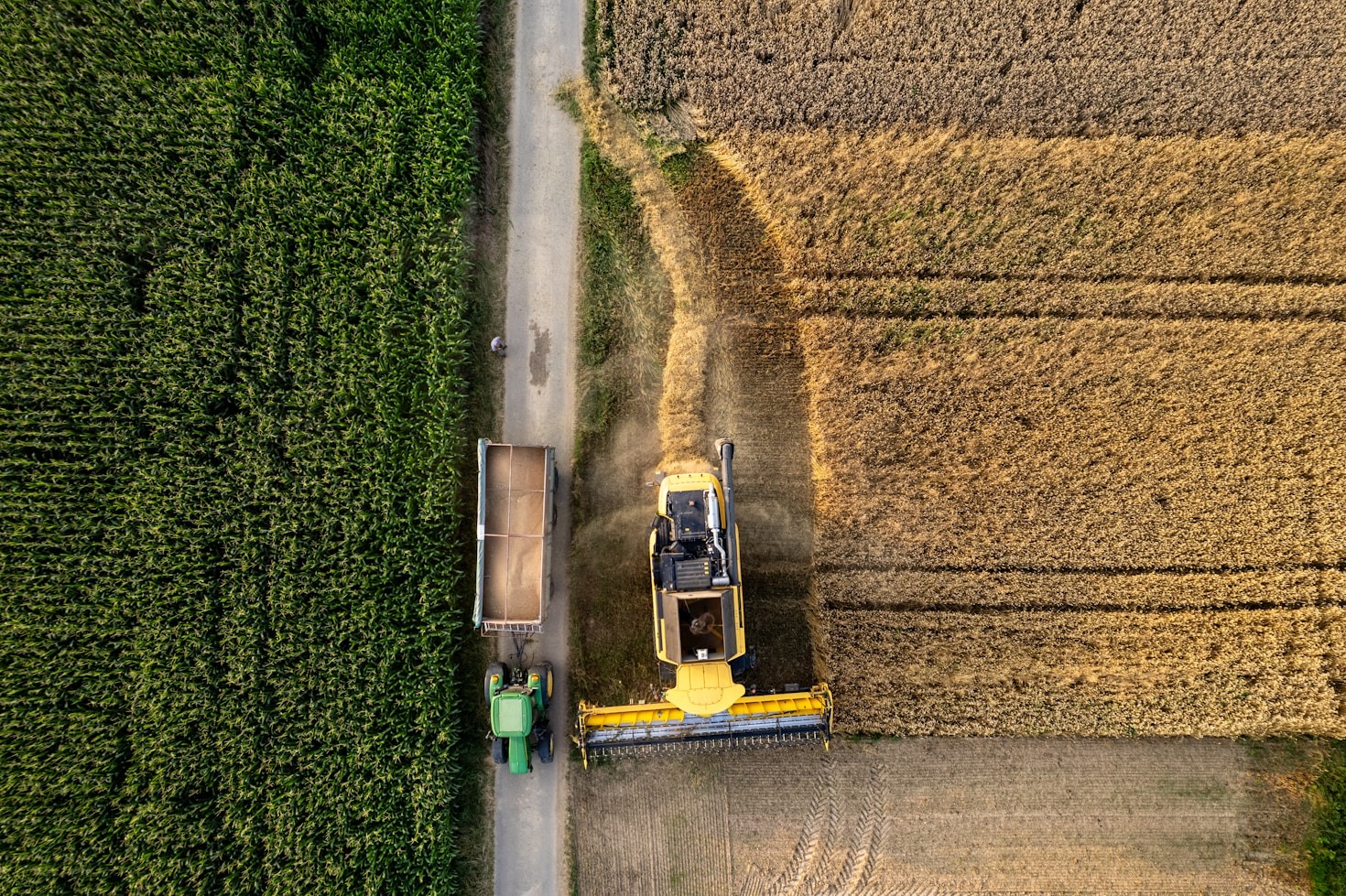 A importância da eficiência nos processos agrícolas